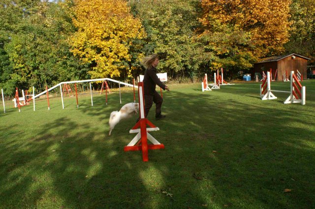 agility 2011-10-30